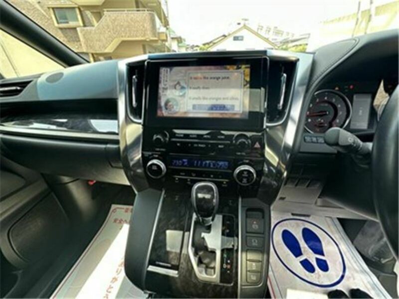 ALPHARD-17