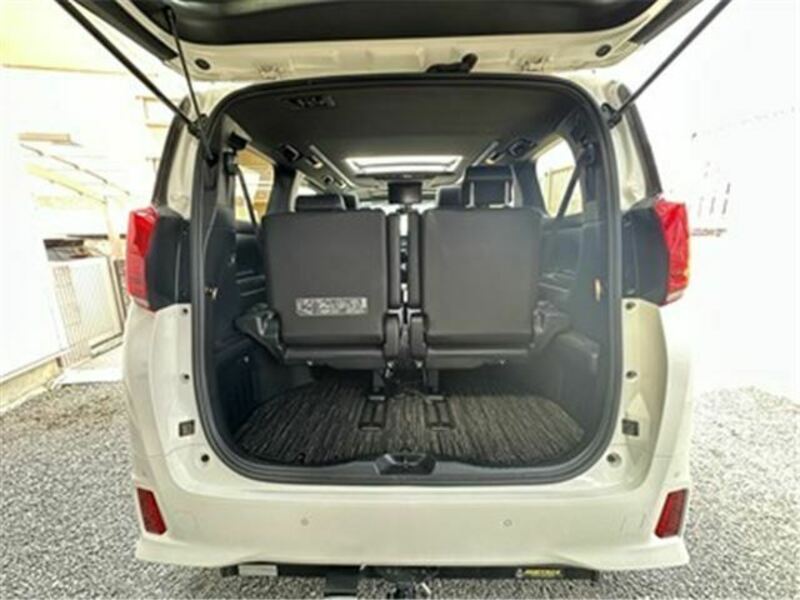 ALPHARD-41