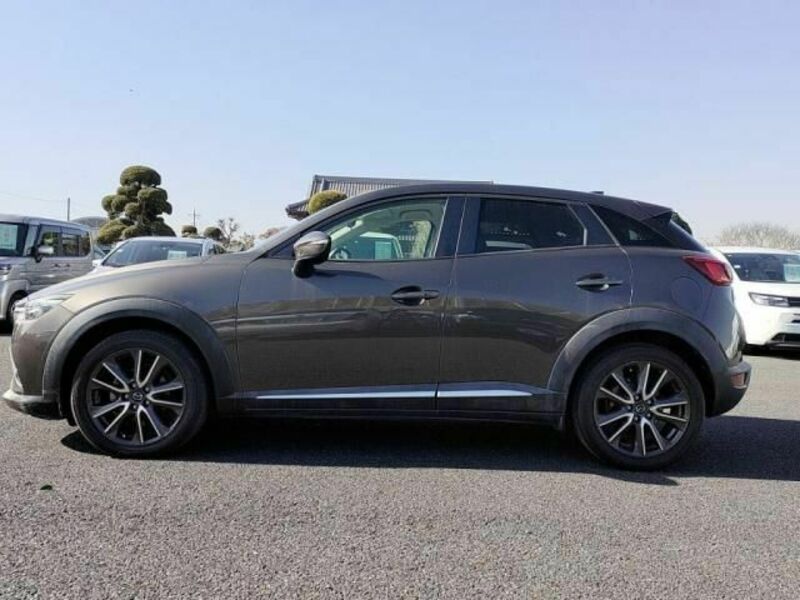 CX-3-11