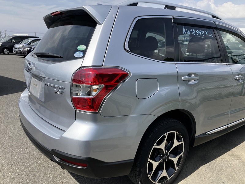 FORESTER-46