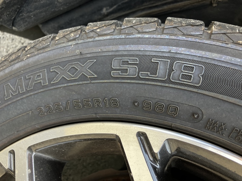 FORESTER-60