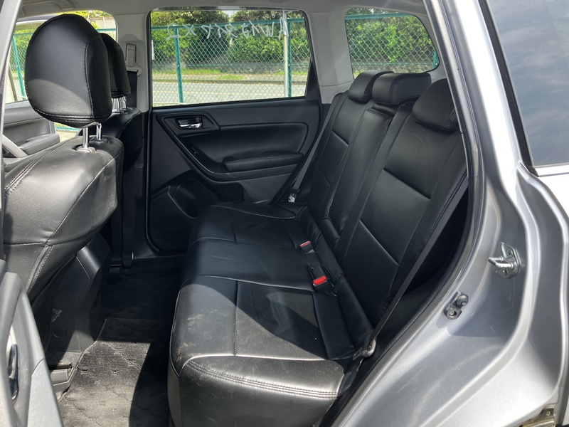 FORESTER-12