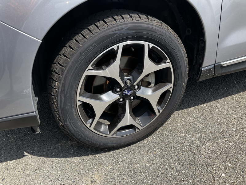 FORESTER-18