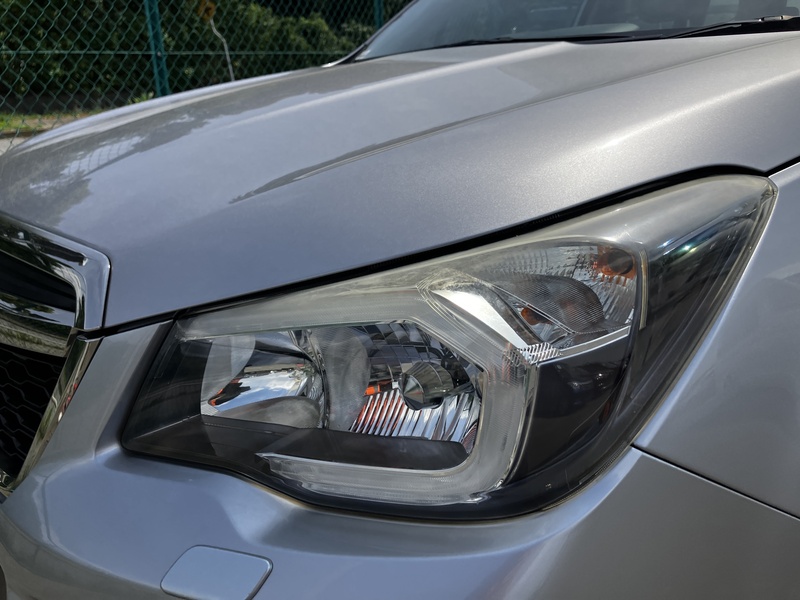 FORESTER-41