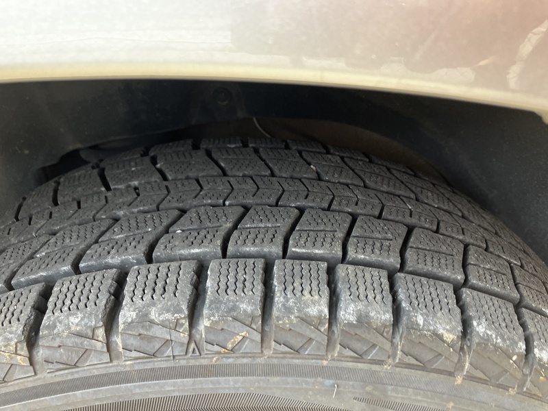 FORESTER-53