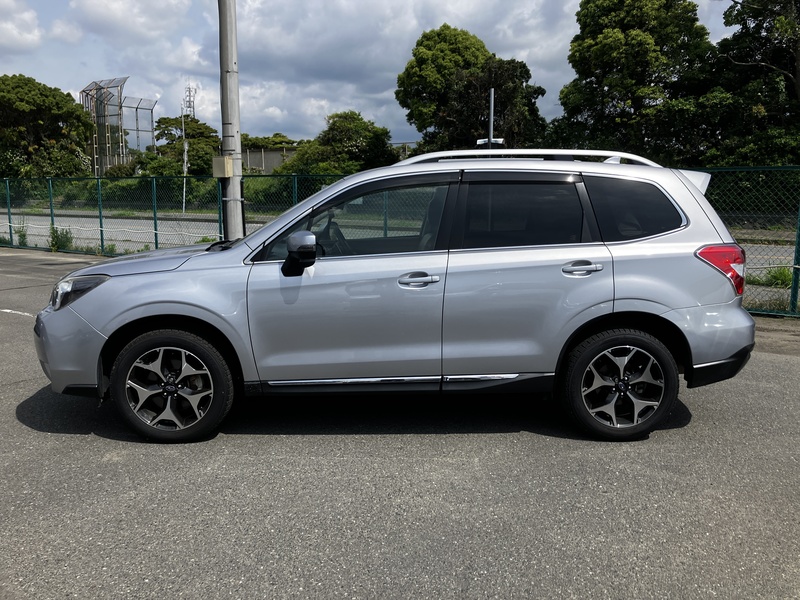 FORESTER-1