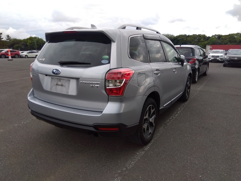 FORESTER-66