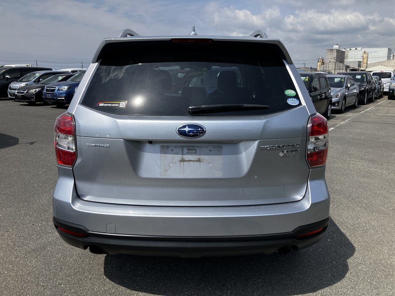 FORESTER-3