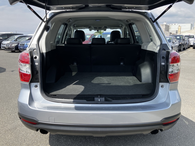 FORESTER-21