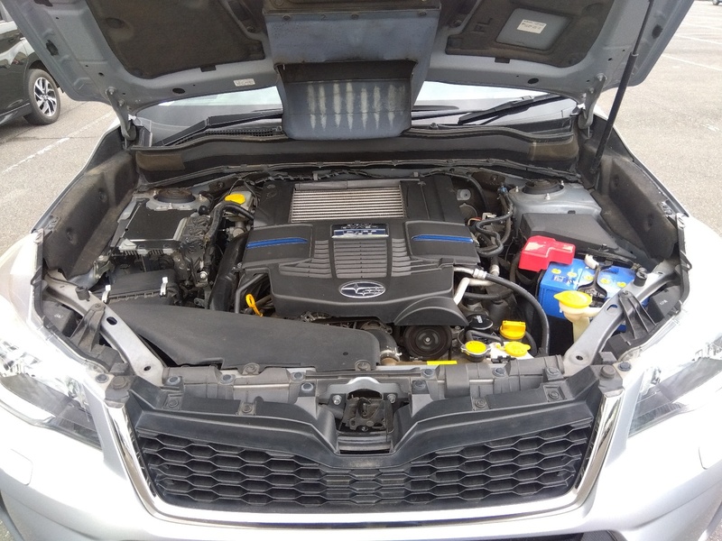 FORESTER-69