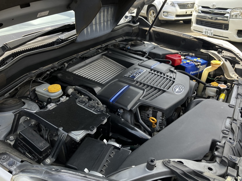 FORESTER-15