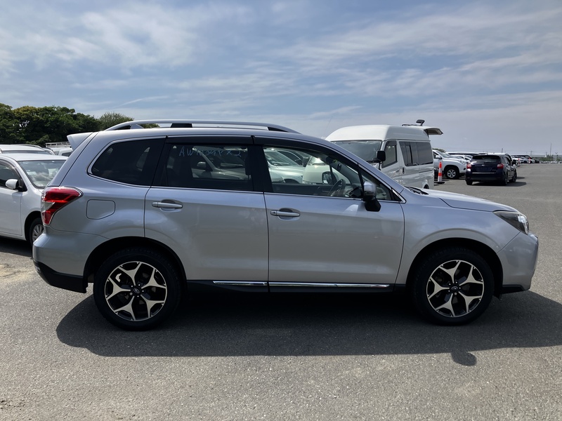 FORESTER-5