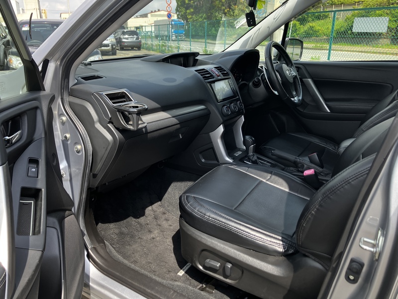 FORESTER-13