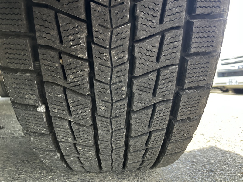FORESTER-58