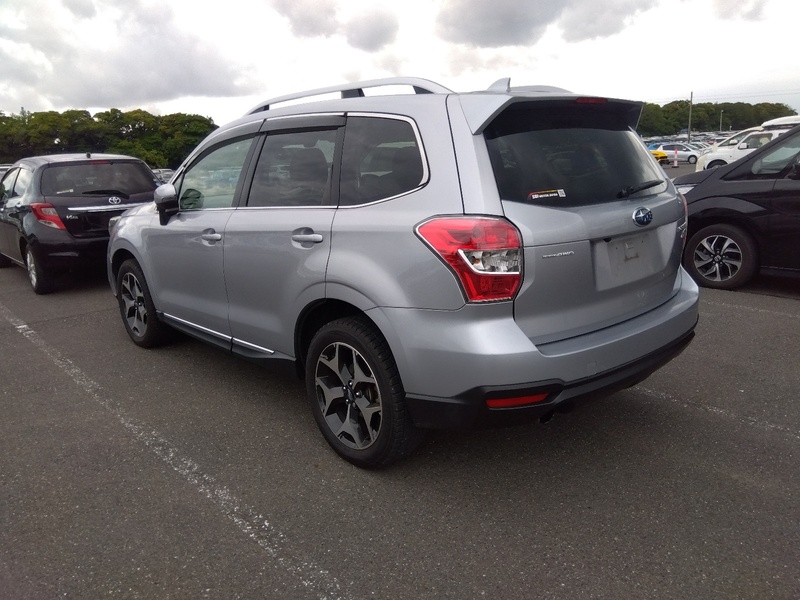 FORESTER-65