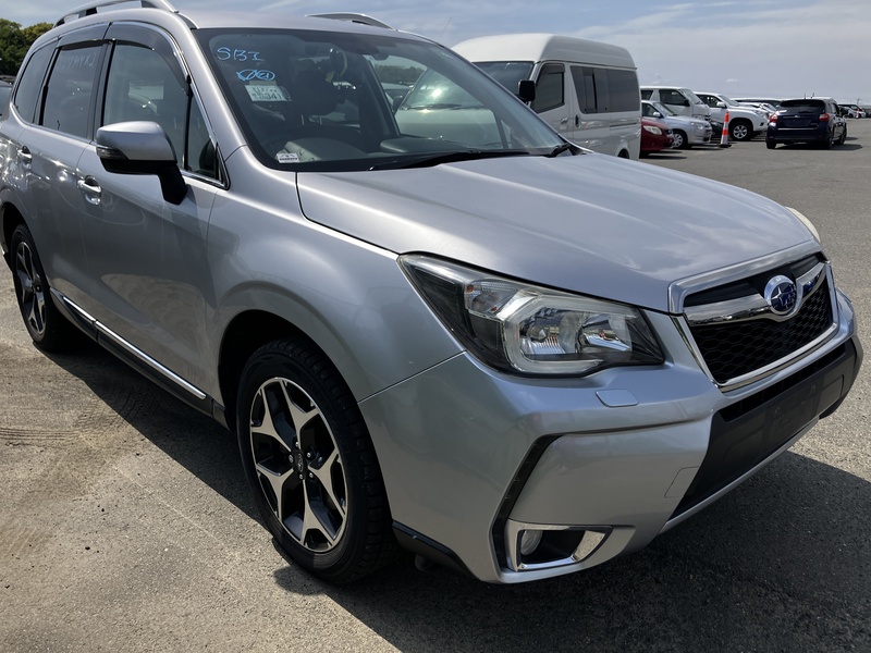 FORESTER-44