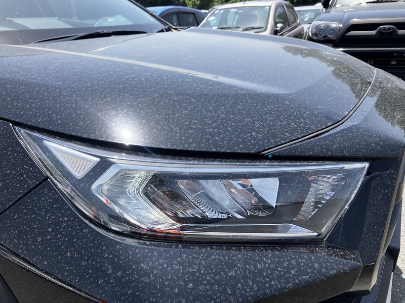 RAV4-44