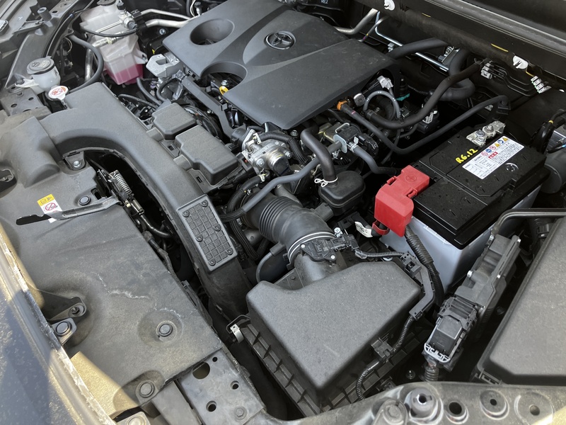 RAV4-19