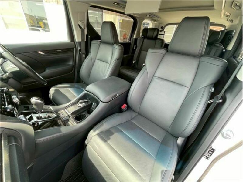 ALPHARD-10