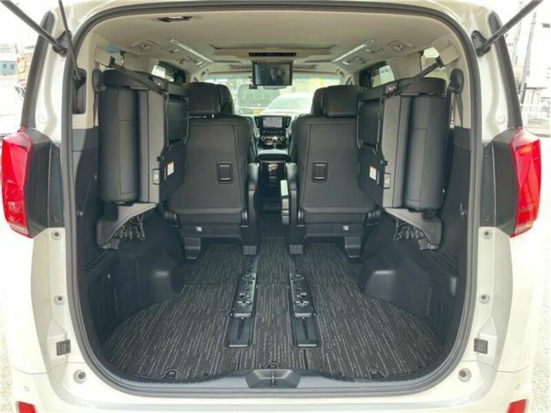 ALPHARD-13