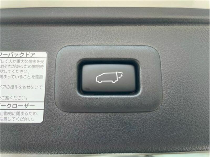 ALPHARD-16