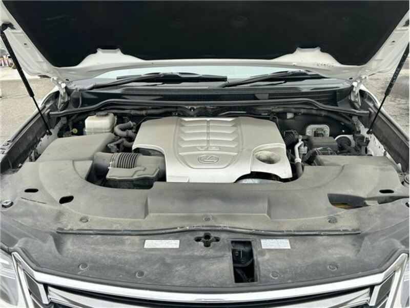LX