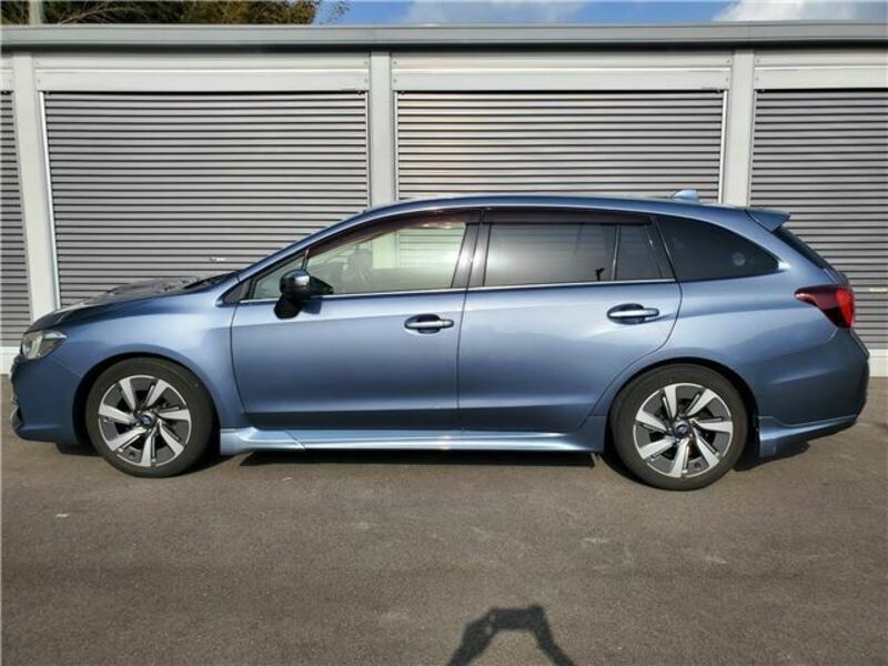 LEVORG