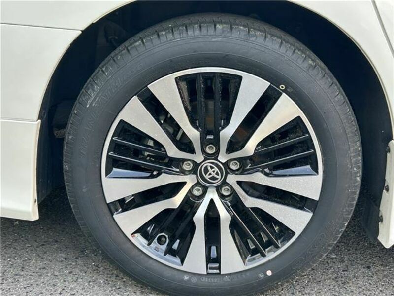 ALPHARD-13