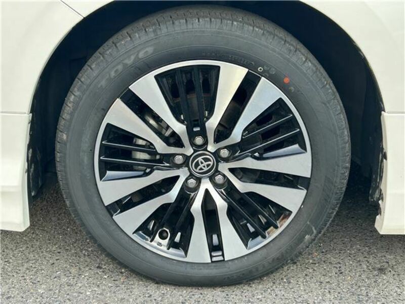 ALPHARD-16