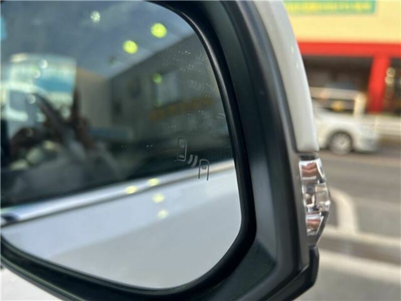 ALPHARD-17