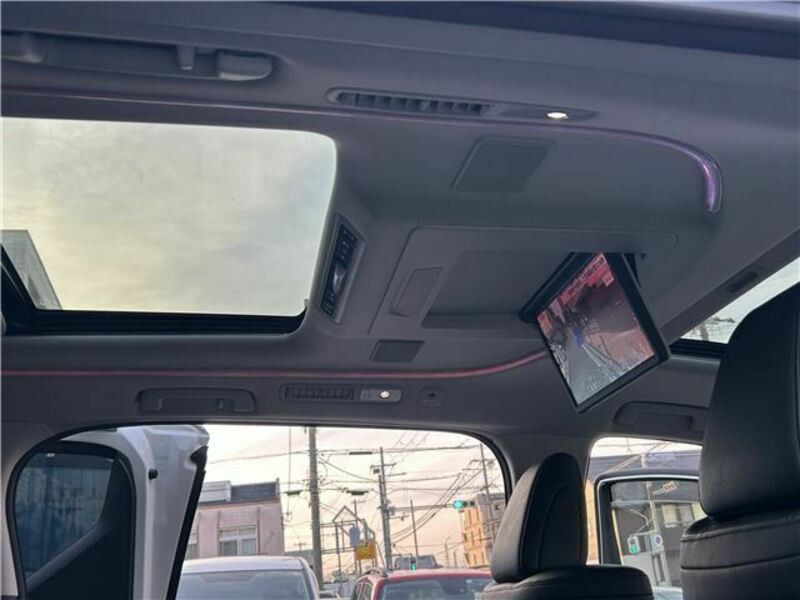 ALPHARD-21
