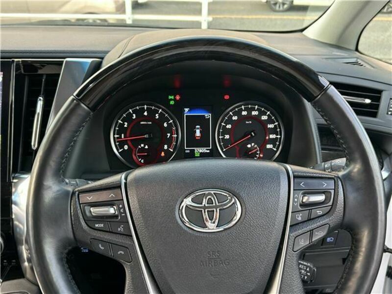 ALPHARD-29