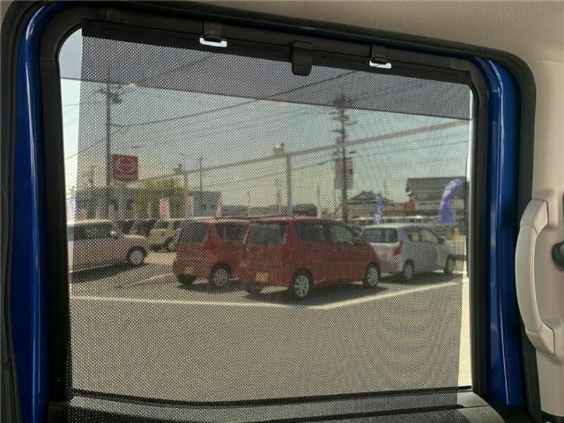 DAYZ ROOX