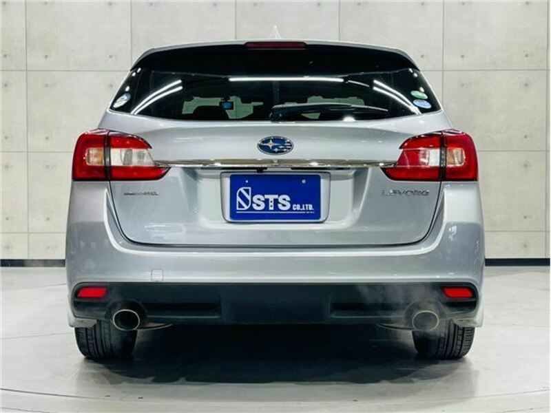 LEVORG-6