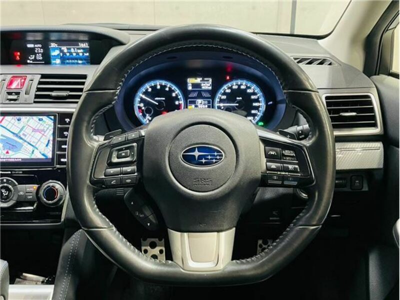 LEVORG-13