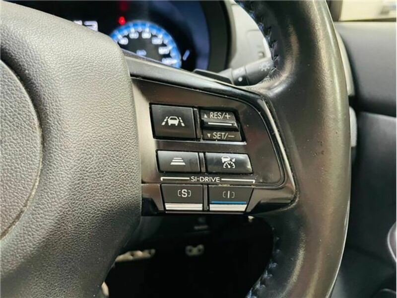 LEVORG-17