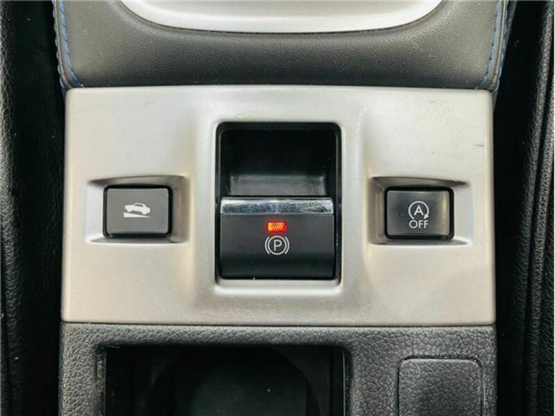 LEVORG-29