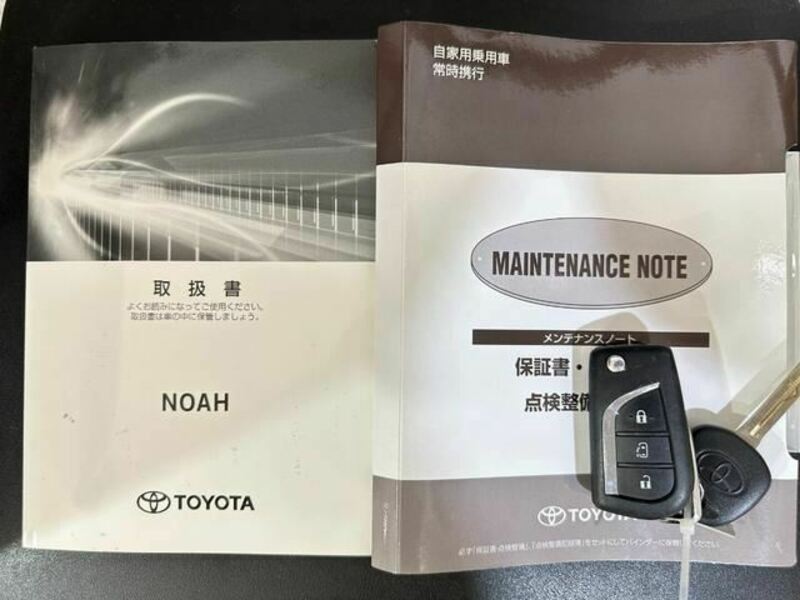 NOAH-29