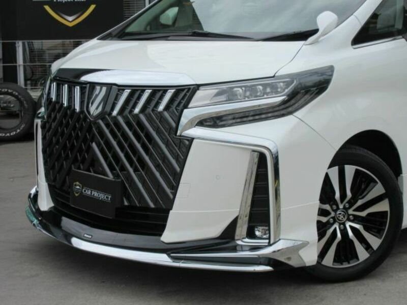 ALPHARD-15