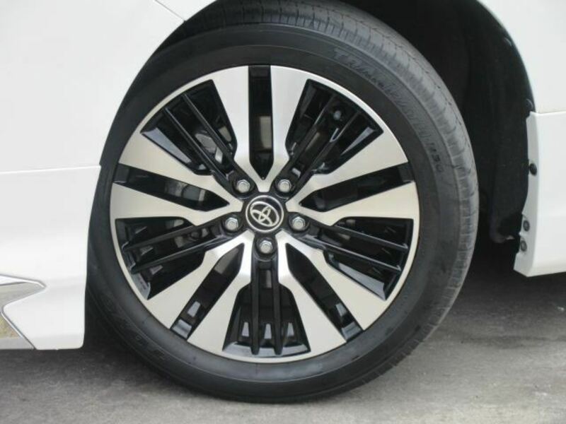 ALPHARD-16