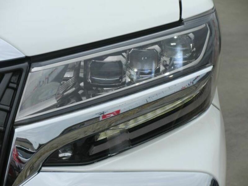 ALPHARD-19