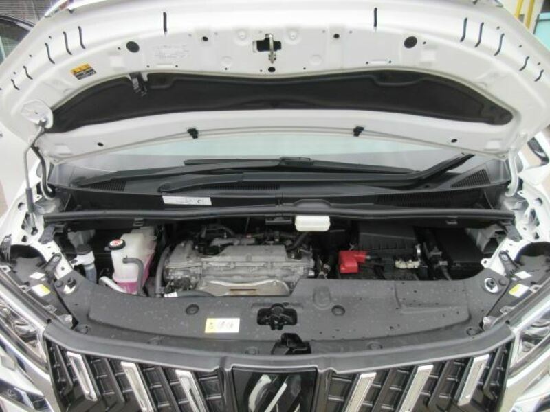 ALPHARD-24