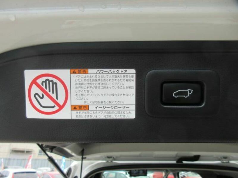 ALPHARD-31