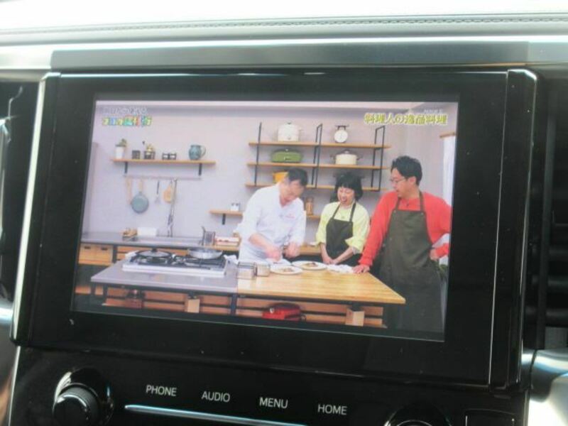 ALPHARD-43