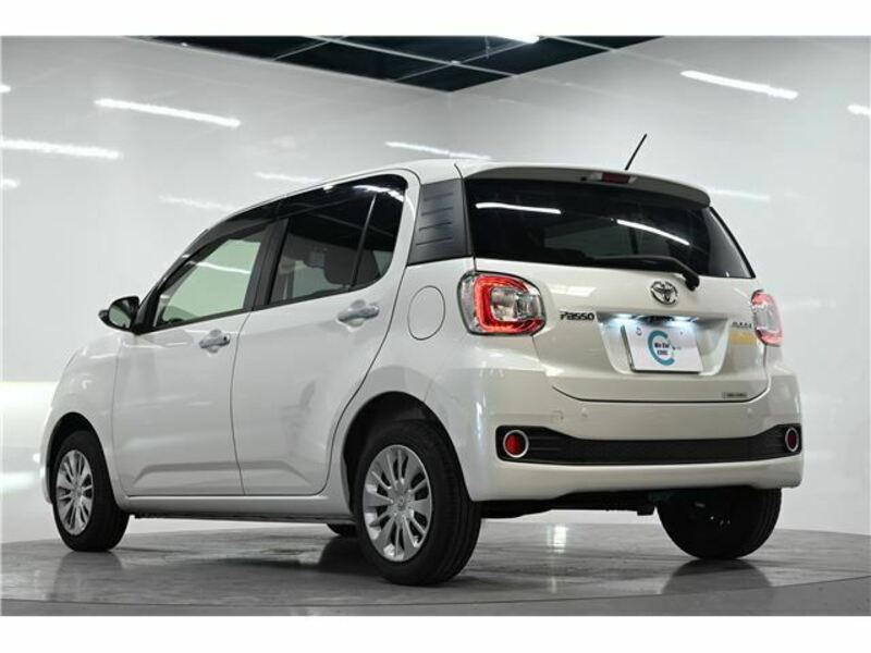 PASSO-15