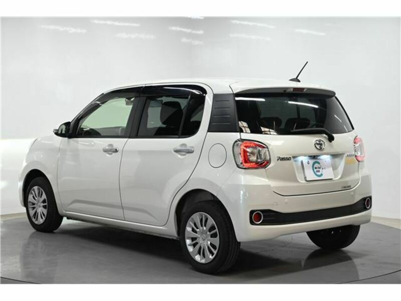 PASSO-16