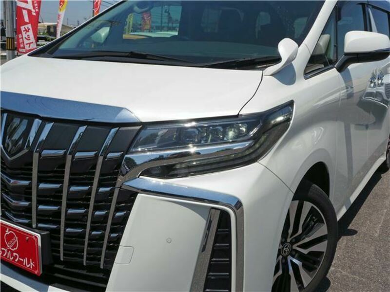 ALPHARD-10