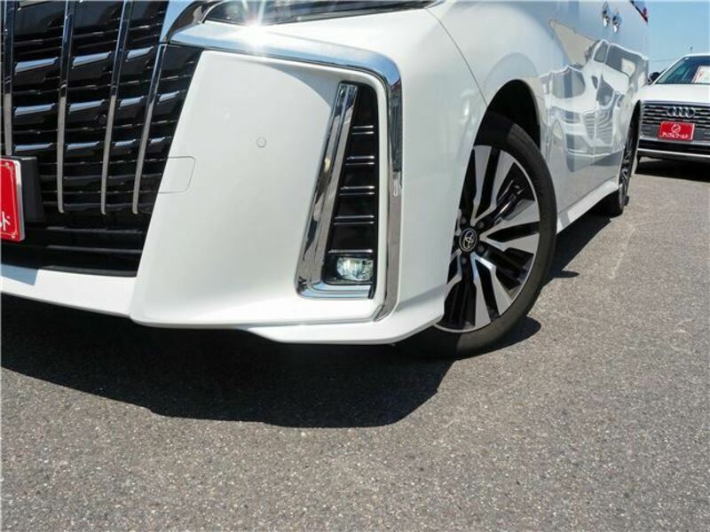 ALPHARD-11