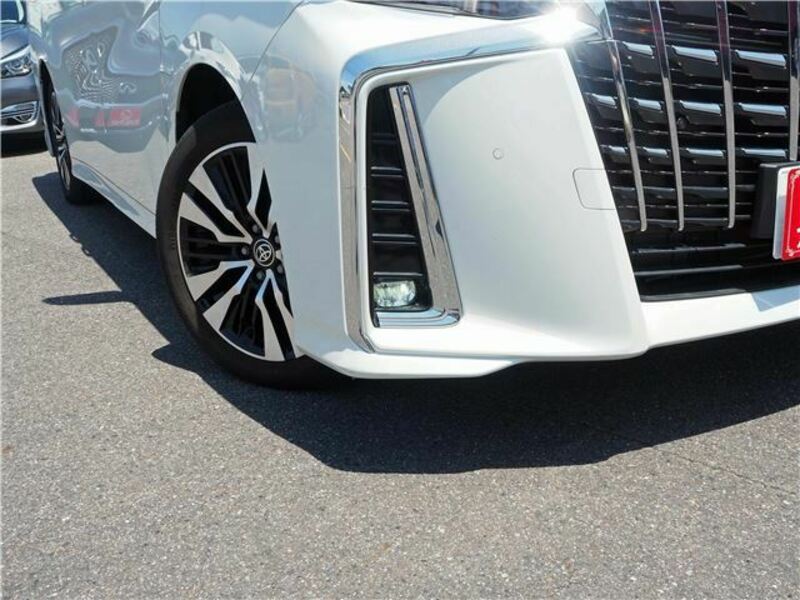 ALPHARD-14