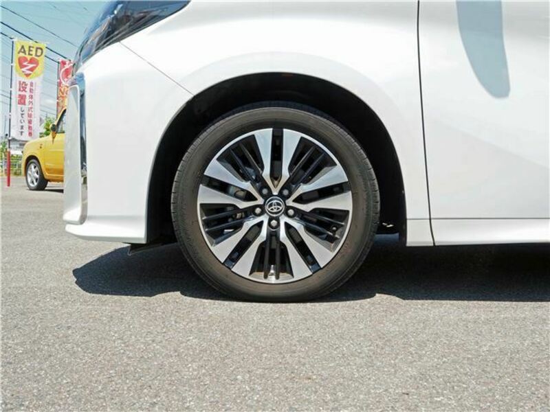 ALPHARD-17